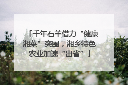 千年石羊借力“健康湘菜”突围，湘乡特色农业加速“出省”